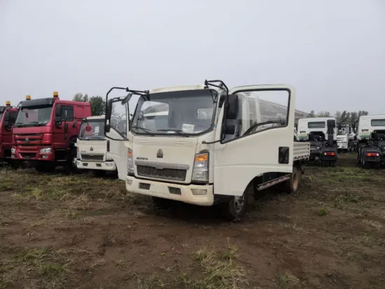 2022 2023 Neuer HOWO 4X2 130 PS 160 PS Cummins Yuchai Motorfracht-LKW Euro2 Euro3 Van Fence Flat Boardlight Truck mit linker und rechter Hand zu verkaufen